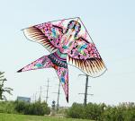 Воздушный змей Мартин