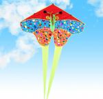 Воздушный змей Бабочка с пайетками