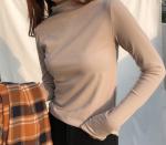 Водолазка женская 698