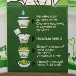 Набор для выращивания «Моя микрозелень», базилик