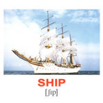 Английские карточки "Транспорт"