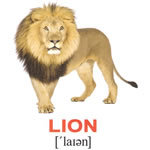 Английские карточки "Дикие животные"