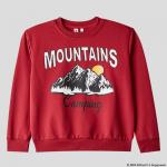 Свитшот для мальчика