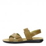 Туфли мужские (100% Кожа)