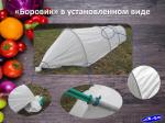 Парник "Боровик" 8м