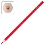 Карандаши цветные ПИФАГОР Сказочный мир, 24 цв., заточенные, карт. упак., дизайн ассорти, 180242