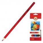 Карандаши цветные акварельные KOH-I-NOOR Fish, 12 цв., гр. 3 мм, заточенные, европодвес,3716012004KS