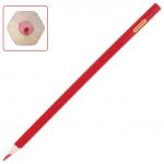 Карандаши цветные ПИФАГОР Сказочный мир, 12 цв., заточенные, карт. упак., дизайн ассорти, 180240