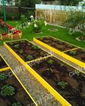 4-ти метровая ГРЯДКА односторонне окрашенная, 4 м х0,8 м х0,15 м