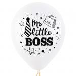 Набор воздушных шаров Т 12 шар пастель 2 ст. рис. Mr little boss 5 шт. #70182