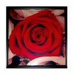 Картина-фото 29x29 см. (в ассортименте)