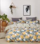 КПБ Boris Dense на резинке по кругу BORDR031