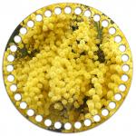 *Круг 15 см. Мимоза