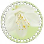 *Круг 15 см. Нарцисс