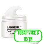 Маска от черных точек + полоски LANBENA