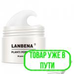 Маска от черных точек + полоски LANBENA