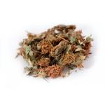 Клевер луговой (цвет) 40 гр