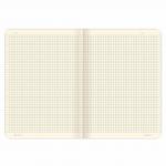 Тетради B5 (179х250мм) 60л НАБОР 2шт. сшивка клетка SoftTouch, 70г/м, FANTASY, BRAUBERG, 403820