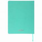 Дневник 1-4 класс 48л, обложка кожзам (гибкая), печать, фольга, ЮНЛАНДИЯ, ФЛАМИНГО, 105932