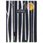 Тетради B5 (179х250мм) 60л НАБОР 2шт. сшивка в точку SoftTouch, 70г/м, НОЧЬ, BRAUBERG, 403829