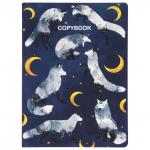 Тетради B5 (179х250мм) 60л НАБОР 2шт. сшивка в точку SoftTouch, 70г/м, НОЧЬ, BRAUBERG, 403829