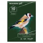 Альбом для рисования пастелью, картон ЗЕЛЕНЫЙ 630г/м 207x297мм, 10л, BRAUBERG ART CLASSIC, 105920