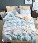 Комплект постельного белья Поплин  КПБ-02П-123