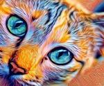 - Выразительные глаза радужной кошечки