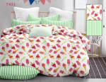 7431 Комплект постельного белья
