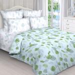 Комплект простыня 1.5 сп + 1 нав. 50/70 поплин 9024/1 основа