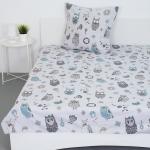 Комплект простыня 1.5 сп + 1 нав. 50/70 поплин 28329/2 Совята серые основа