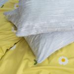 Постельное белье Е129 сатин-твилл