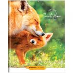 Дневник 1-11 кл. 40л. (твердый) ArtSpace Животные. Sweet home, глянцевая ламинация, Ду40т_36283