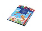 Карандаши цветные FUNCOLOR (пластиковые), 24 цв. 4 вида 30-0062
