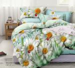 2208-2 Комплект постельного белья