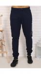 Брюки мужские [099100436]
