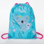 Мешок для обуви BRAUBERG PREMIUM, карман, подкладка, светоотр. элементы, 43х33 см, Koala, 270282