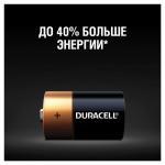 Батарейки DURACELL Basic, С (LR14, 14А), алкалиновые, КОМПЛЕКТ 2 шт, блистер (ш/к 2529)