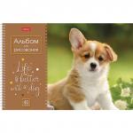 Альбом д/рис. А4 40л., спираль, обложка картон, HATBER, 205х290мм, Щенки (4 вида в спайке), 40А4Всп