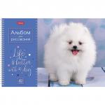 Альбом д/рис. А4 40л., спираль, обложка картон, HATBER, 205х290мм, Щенки (4 вида в спайке), 40А4Всп