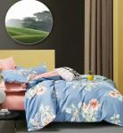 КПБ Boris Dense BORD216