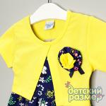 *Платье (съемная брошь)