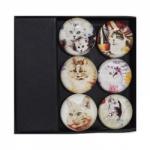 GM-109001 набор 6 магнитов