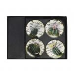 GM-109304 набор 4 магнита