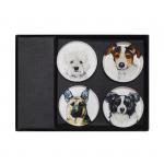 GM-7088 набор 4 магнита