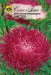 Астра Хризантемовидная Амстел