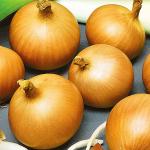 Лук Соколик 0,8г (2144)