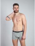 Мужские трусы боксеры "Индефини" (Арт. 611000-MUB1065)