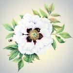 Наволочка "Лето" размер 39х39 см