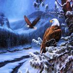 Наволочка "Гордый орел" размер 39х39 см